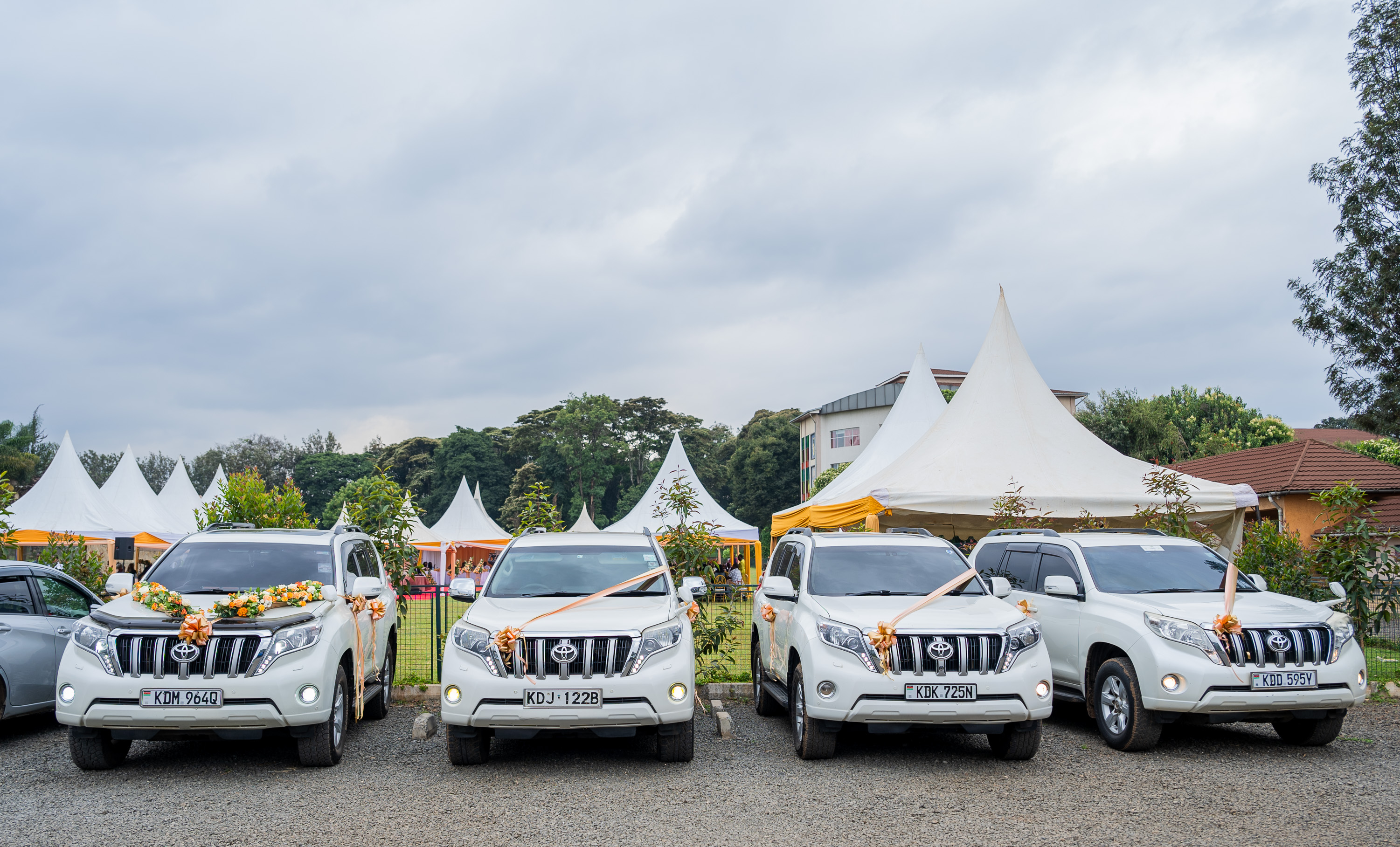 Prado wedding fleet, front view